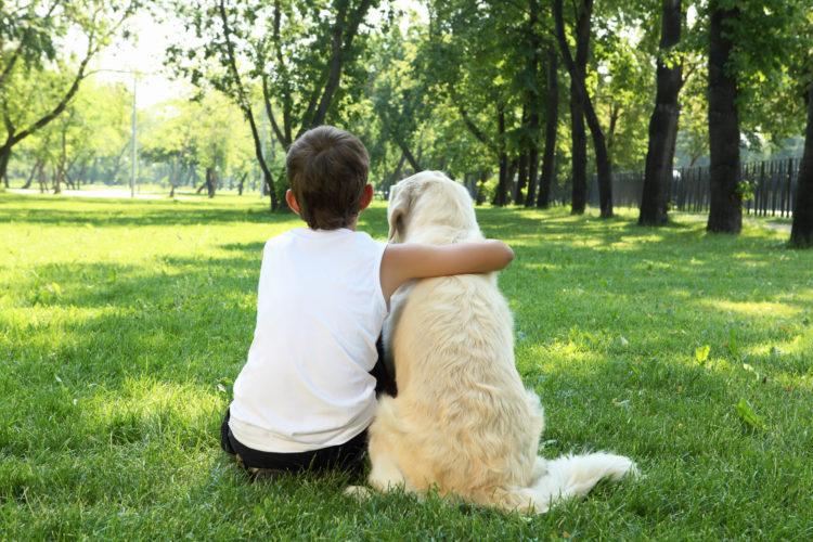 Teenager,Boy,In,The,Park,With,A,Golden,Retriever,Dog